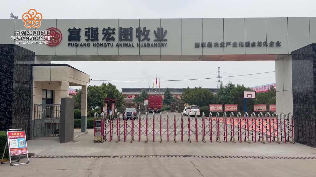 一路同行，不負久候。金牌好鴨，品質(zhì)人生！