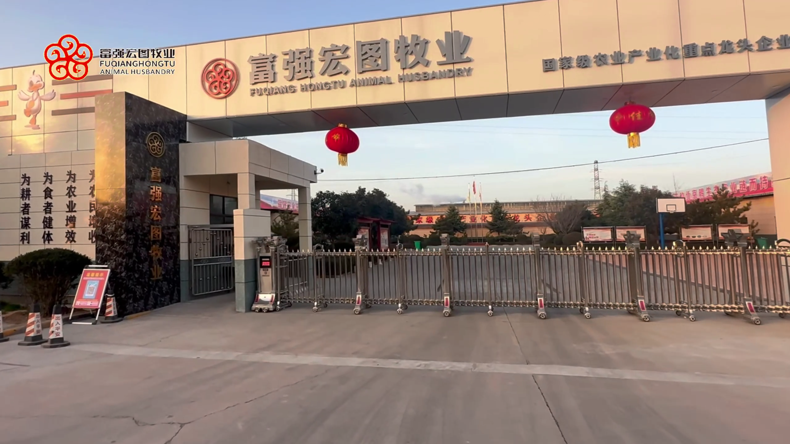 【探索工廠 走進富強】一鏡到底，帶您走進富強宏圖牧業(yè)，感受真實工作環(huán)境